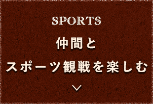 仲間とスポーツ観戦を楽しむ